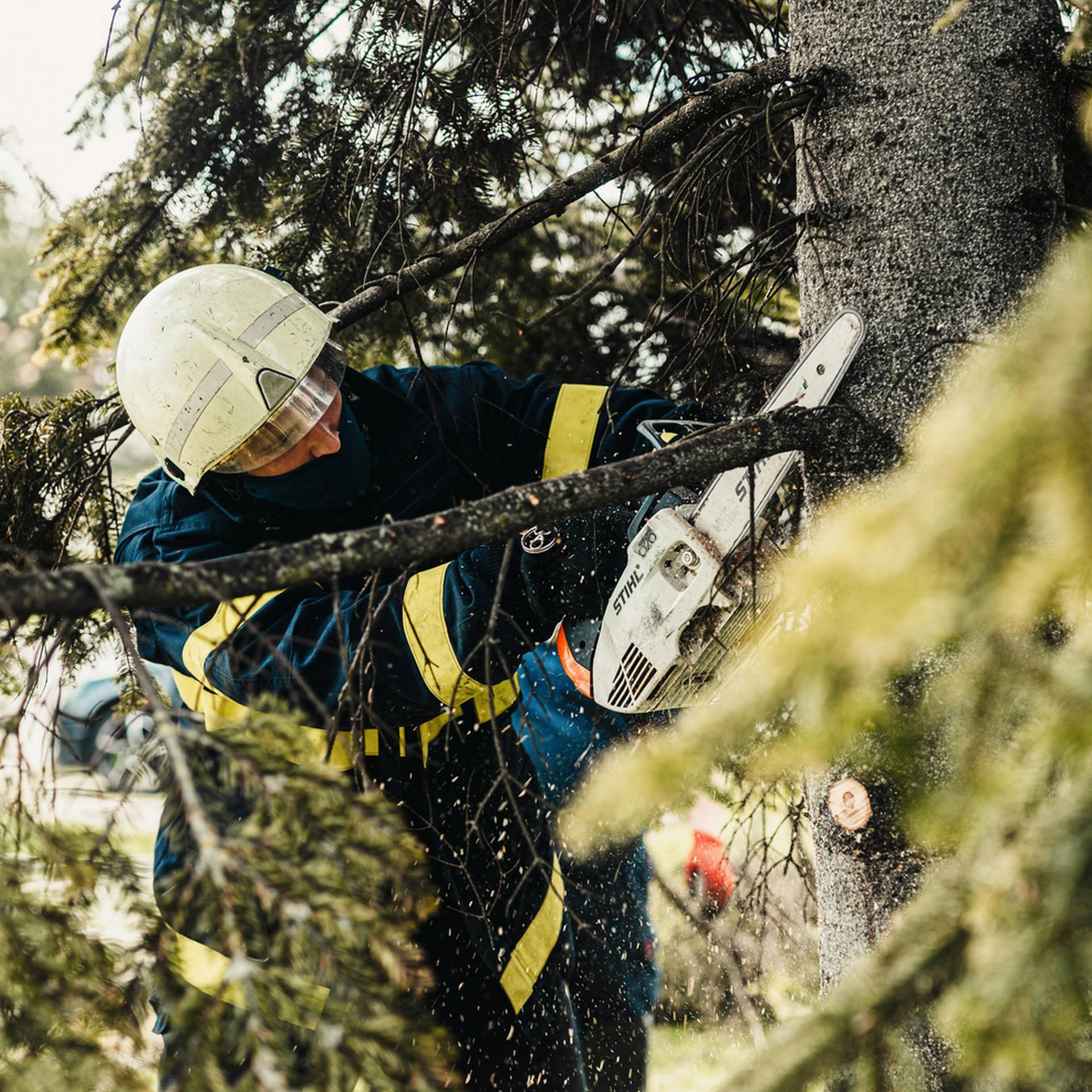 #1 Birmingham Tree Service - Tree Trimming Tree Removal Stump Grinding Company Near Birmingham AL