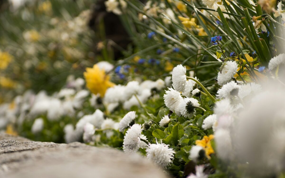 Flower Bed Installation Landscaping Company Near Birmingham AL