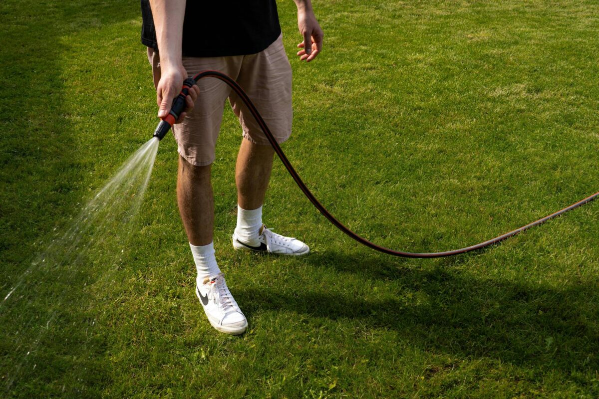 How Should You Water Your Lawn