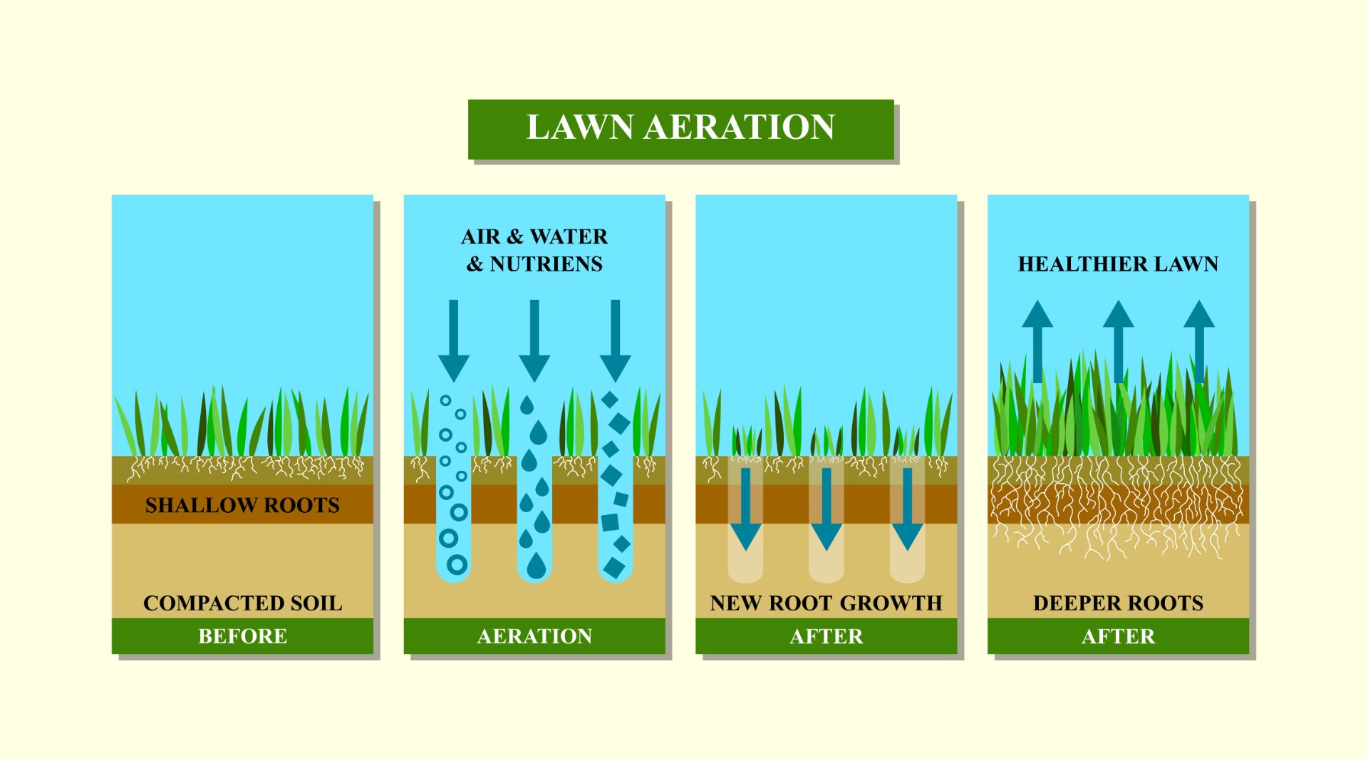 lawn care process